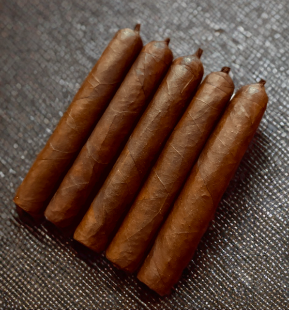 Padilla Corojo de Fuego – 5-Pack