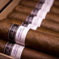 The Padilla Maduro Masters 20 — Four Legendary Maduros, One Box