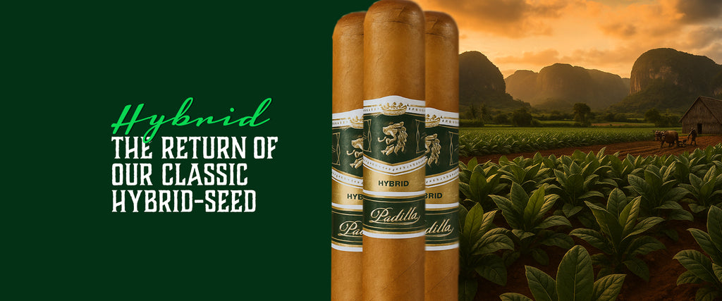 Padilla Finest Hour Oscuro - 