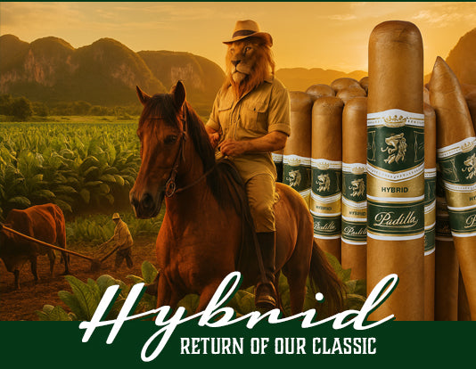 Padilla Finest Hour Oscuro - 