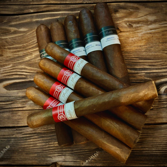 Perfect Summer Smoke—10 Premium Cigars