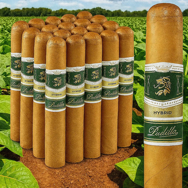 hybrid tobacco Reintroducing the Padilla Hybrid – Padilla Cigars