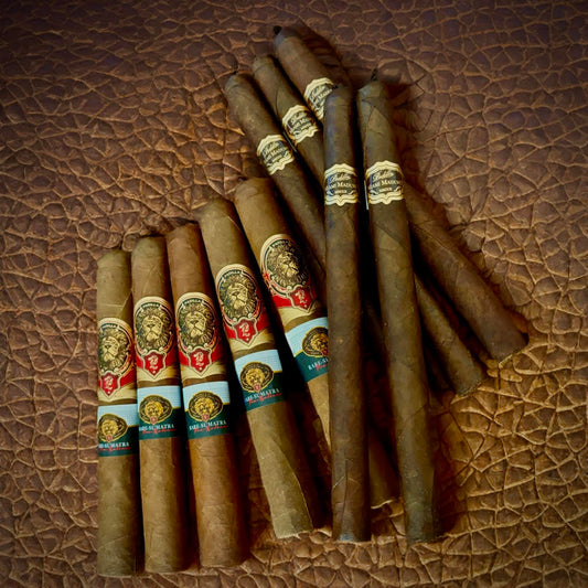 Padilla Connoisseur’s Sampler – 10 Rare Cigars $49.95