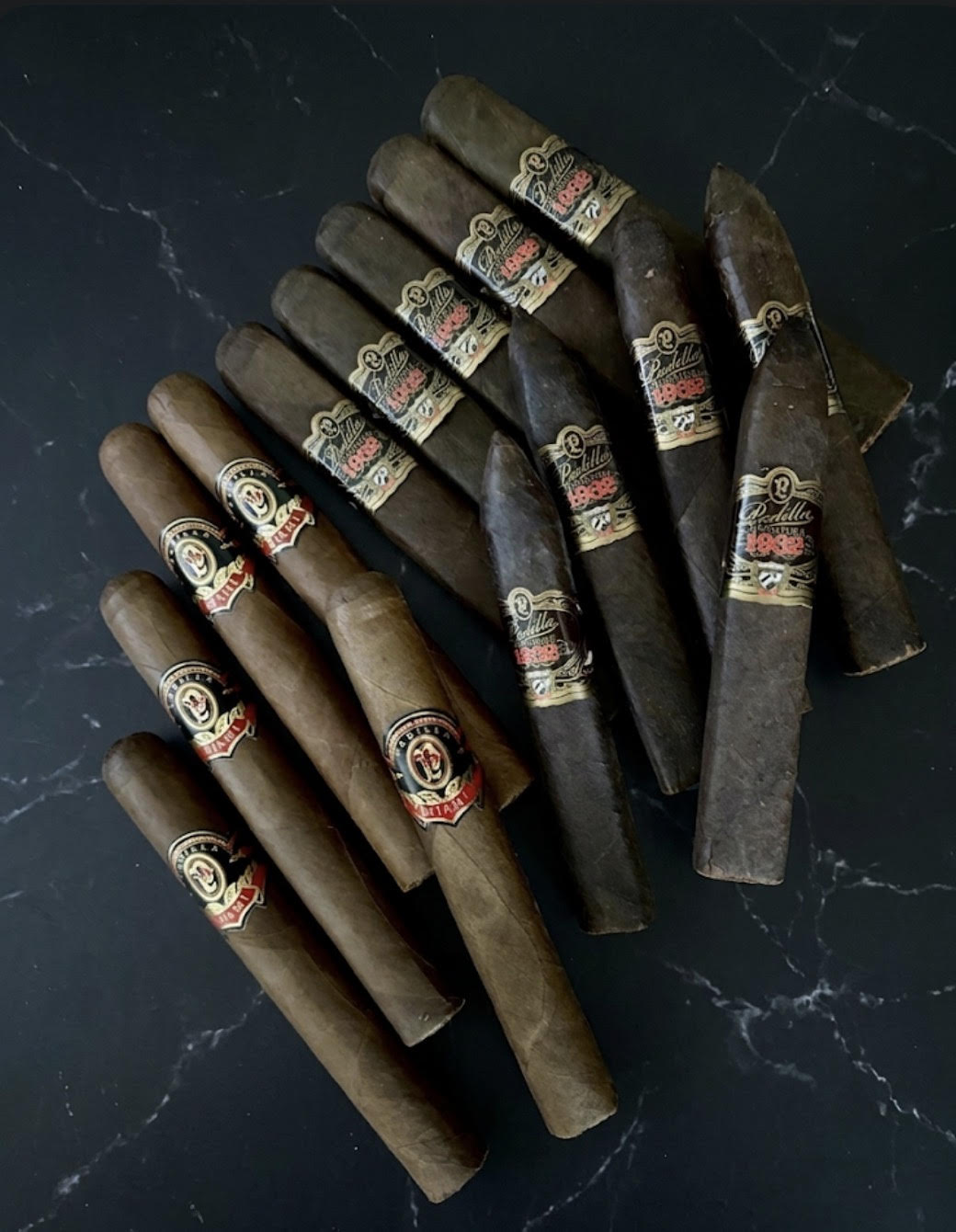 THE PADILLA FIFTEEN