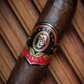 Padilla Miami 8&11
